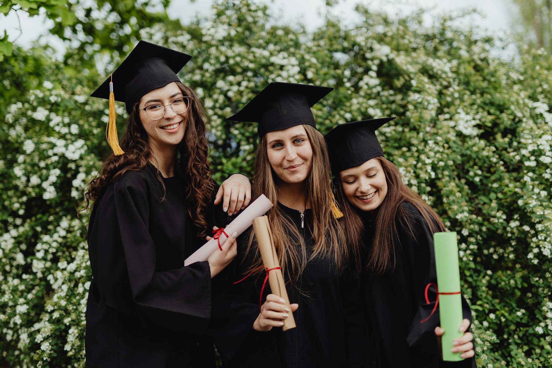 Graduate School Admissions: Your Guide to University Success