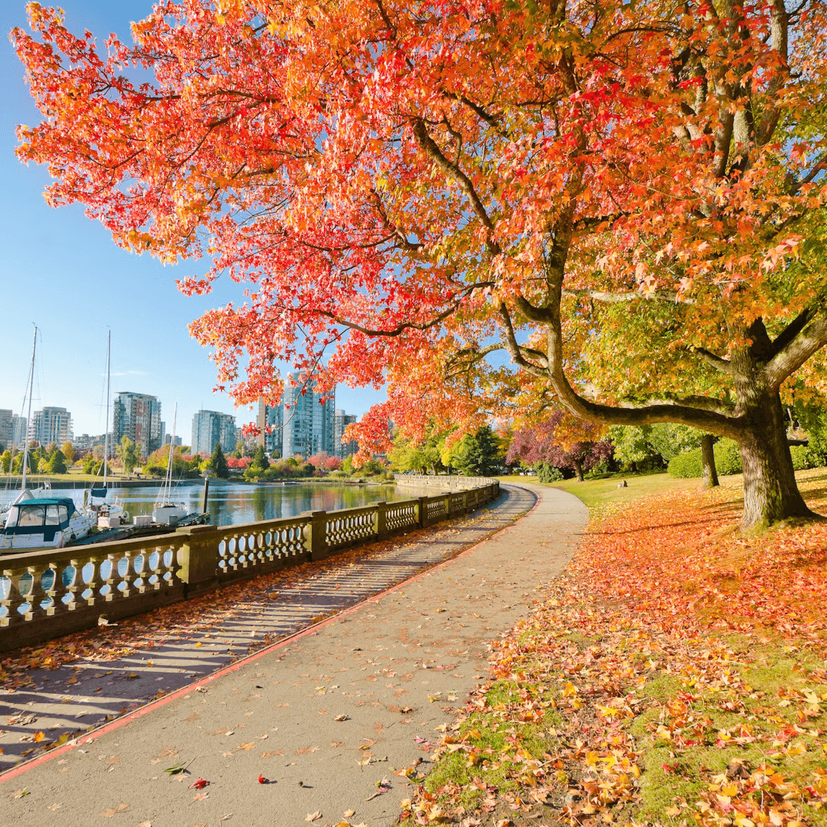 canada